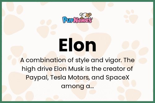 Elon dog name meaning