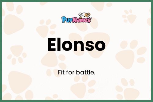 Elonso dog name meaning