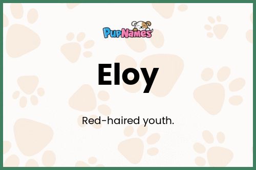 Eloy dog name meaning