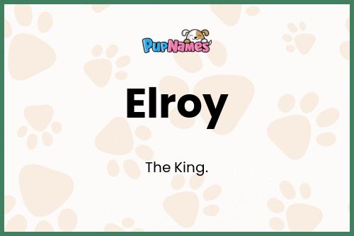 Elroy dog name meaning