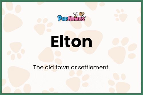 Elton dog name meaning