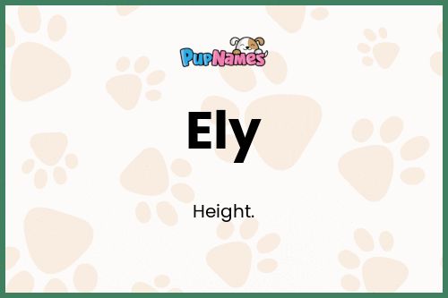 Ely dog name meaning