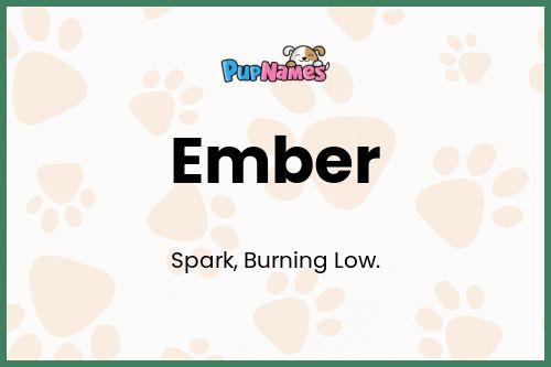 Ember dog name meaning