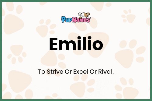 Emilio dog name meaning