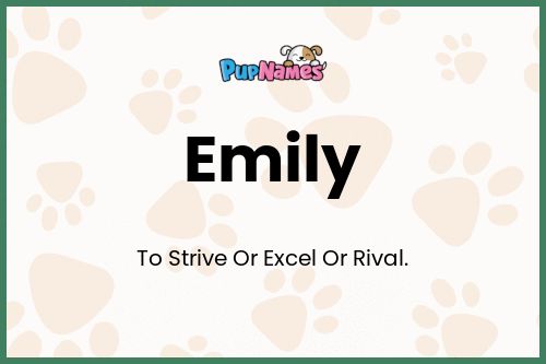 Emily dog name meaning