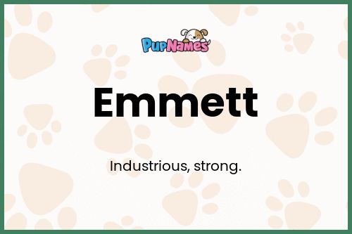 Emmett dog name meaning