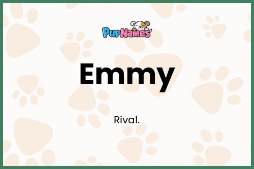 Emmy dog name meaning