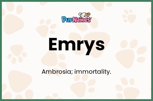 Emrys dog name meaning