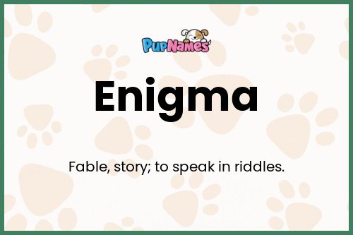 Enigma dog name meaning