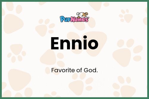 Ennio dog name meaning