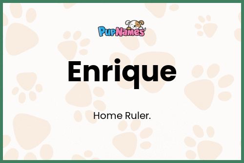 Enrique dog name meaning