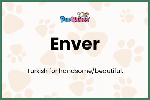 Enver dog name meaning