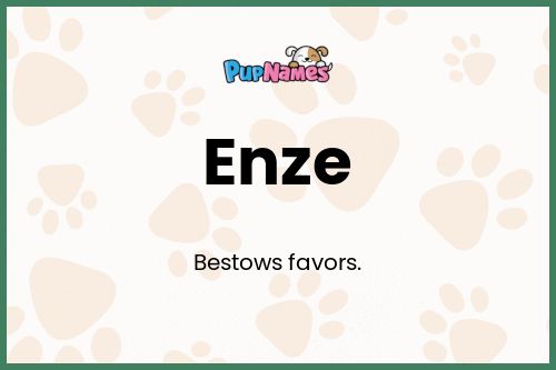 Enze dog name meaning