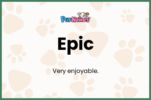 Epic dog name meaning