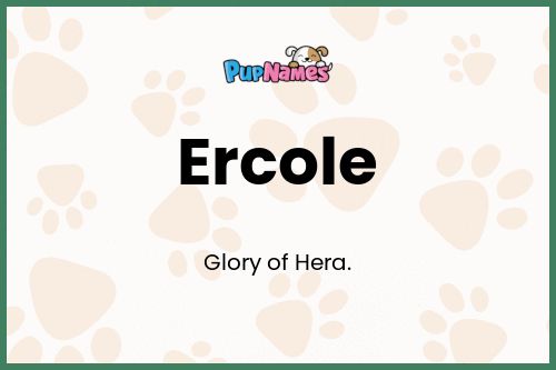 Ercole dog name meaning