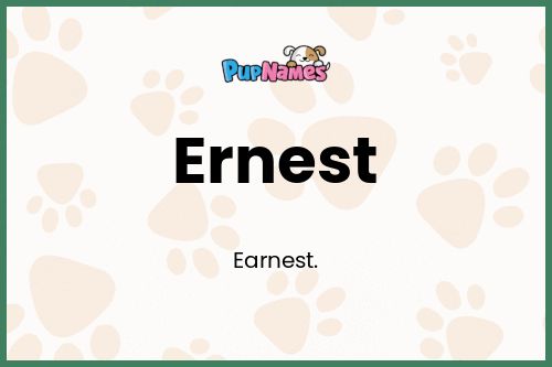 Ernest dog name meaning