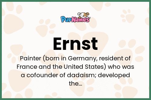 Ernst dog name meaning