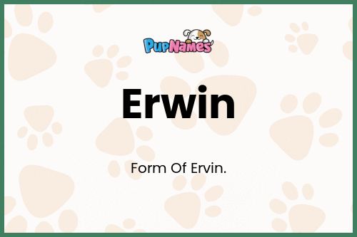 Erwin dog name meaning