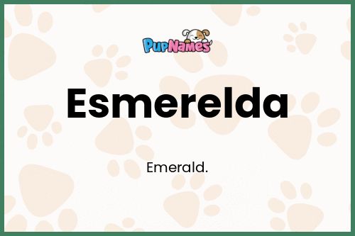 Esmerelda dog name meaning