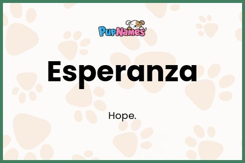 Esperanza dog name meaning