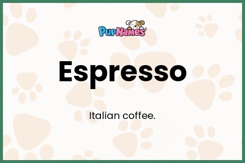 Espresso dog name meaning