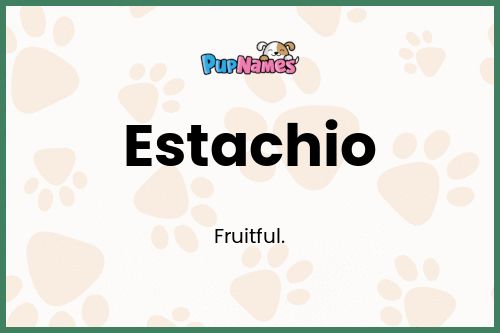 Estachio dog name meaning