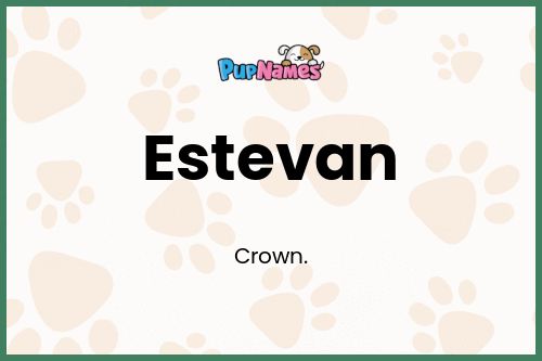 Estevan dog name meaning