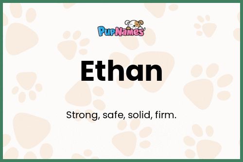 Ethan dog name meaning