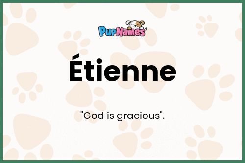 Étienne dog name meaning