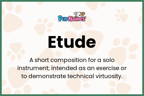 Etude dog name meaning