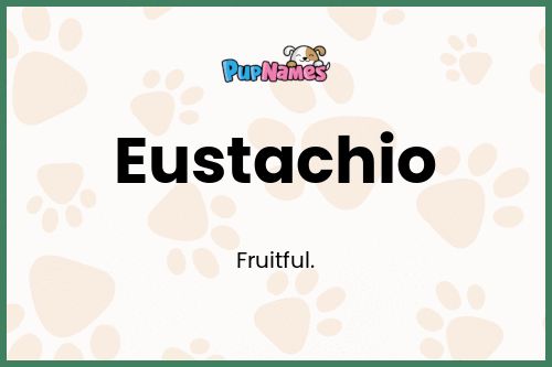 Eustachio dog name meaning