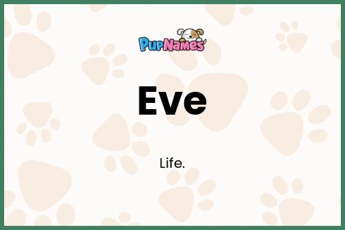 Eve dog name meaning