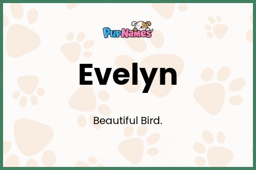 Evelyn dog name meaning