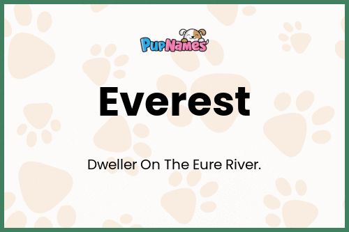 Everest dog name meaning