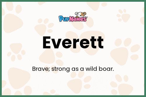 Everett dog name meaning