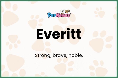 Everitt dog name meaning