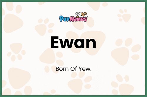 Ewan dog name meaning