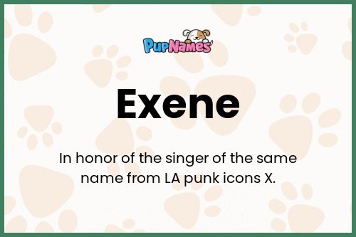 Exene dog name meaning