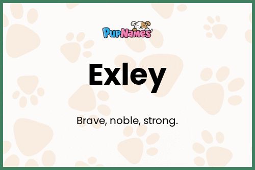 Exley dog name meaning