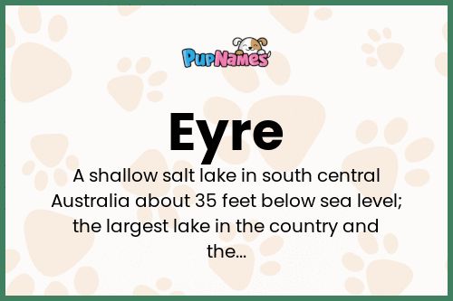 Eyre dog name meaning