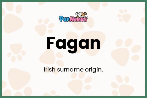 Fagan dog name meaning