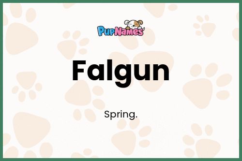 Falgun dog name meaning