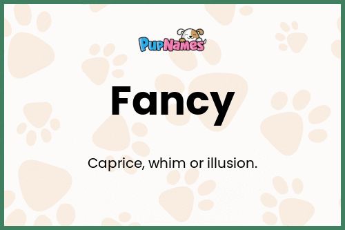 Fancy dog name meaning