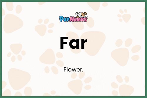 Far dog name meaning