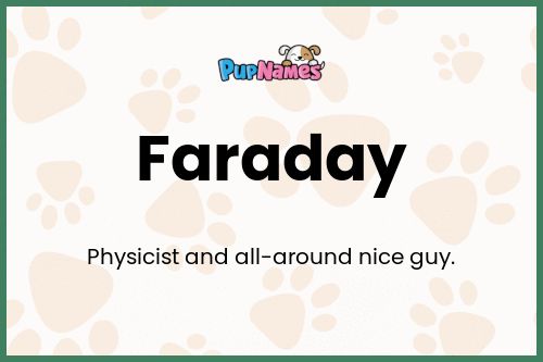 Faraday dog name meaning