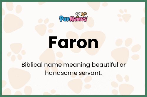 Faron dog name meaning