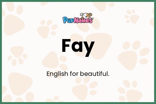 Fay dog name meaning