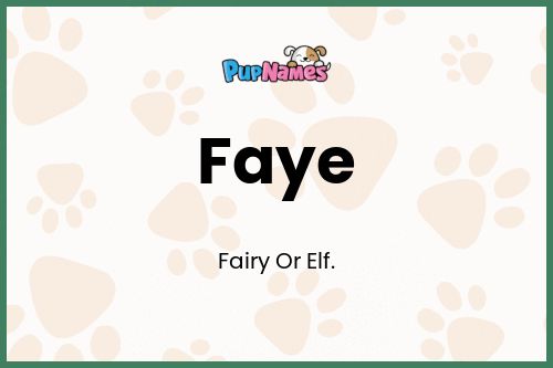 Faye dog name meaning