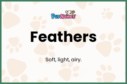 Feathers dog name meaning