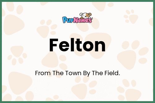 Felton dog name meaning